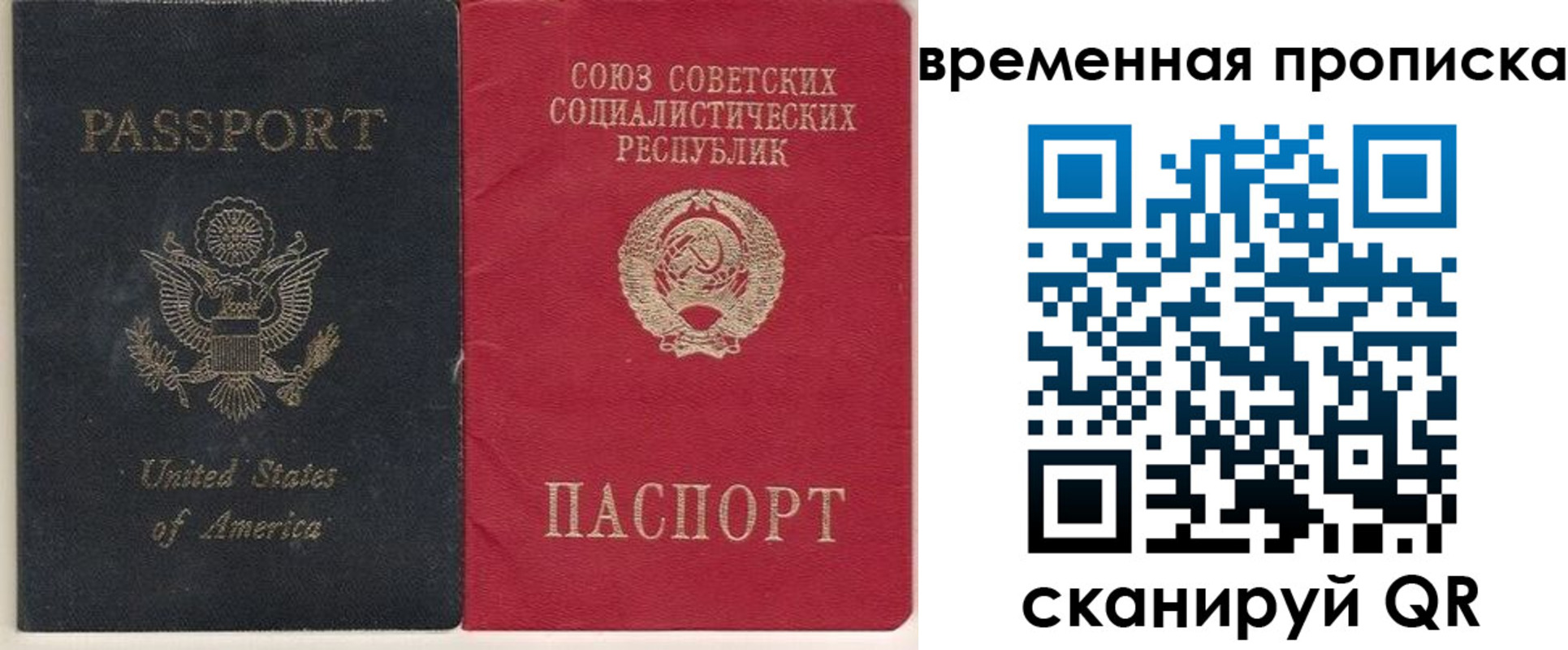 прописка для школы в Камешково