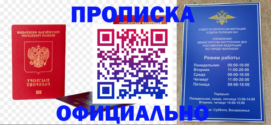 прописка иностранных граждан в Камешково